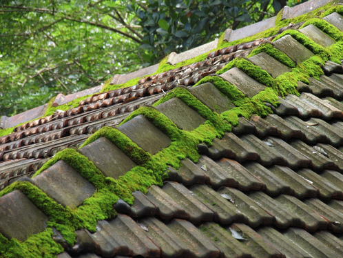 Démoussage de toiture dans la Mayenne